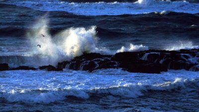 Dünya Meteoroloji Örgütü, El Niño koşullarının Şubat 2027’ye kadar devam